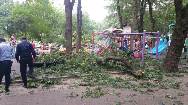 Doua femei si patru copii au fost raniti in parcul Cismigiu. O creanga a cazut peste ei, langa un loc de joaca
