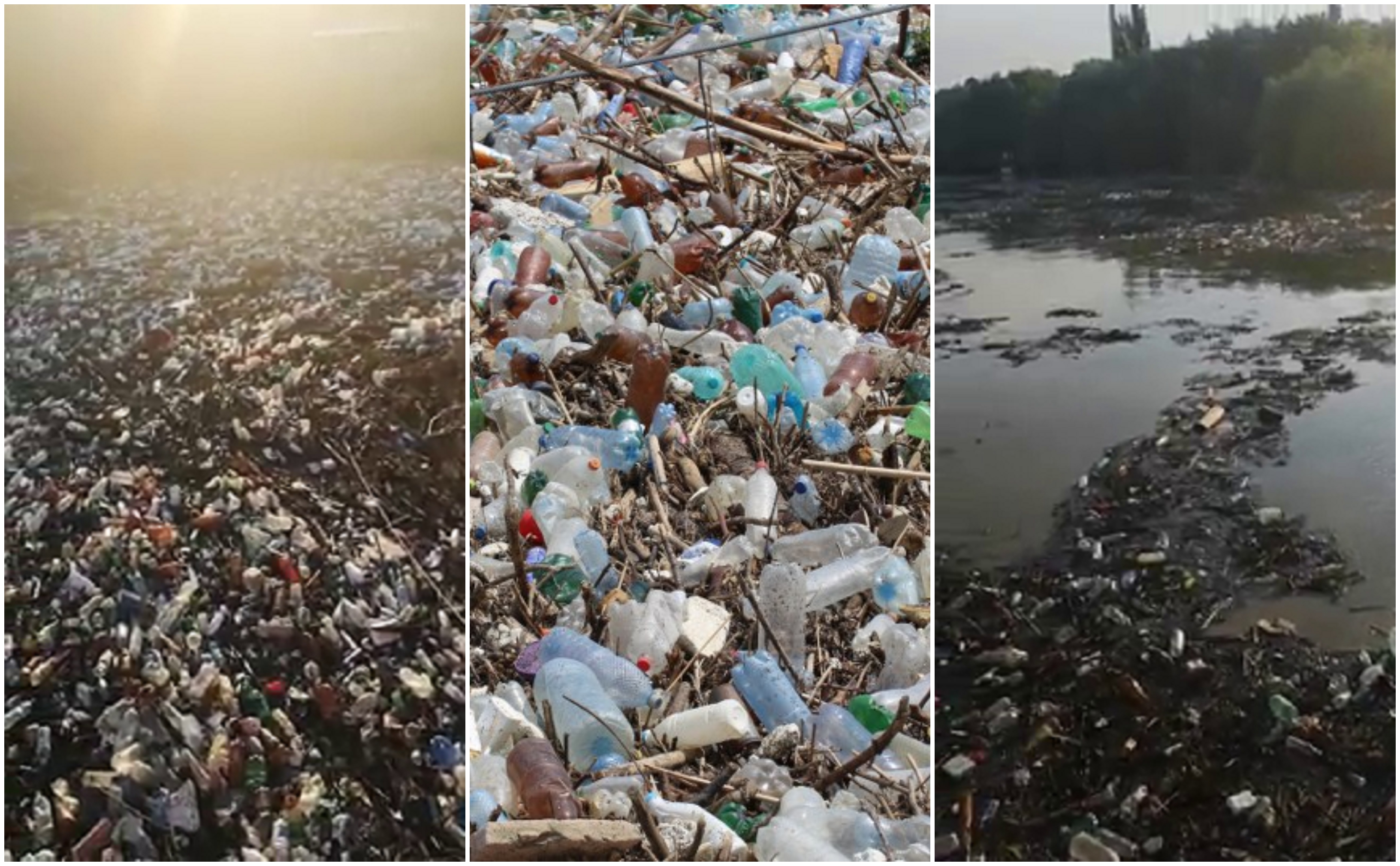 Poluare pe Dunăre. Video cu tonele de deșeuri strânse la Galați, după inundații - Imaginea 1
