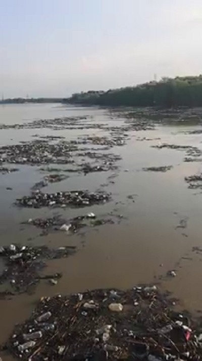 Poluare pe Dunăre. Video cu tonele de deșeuri strânse la Galați, după inundații - Imaginea 5