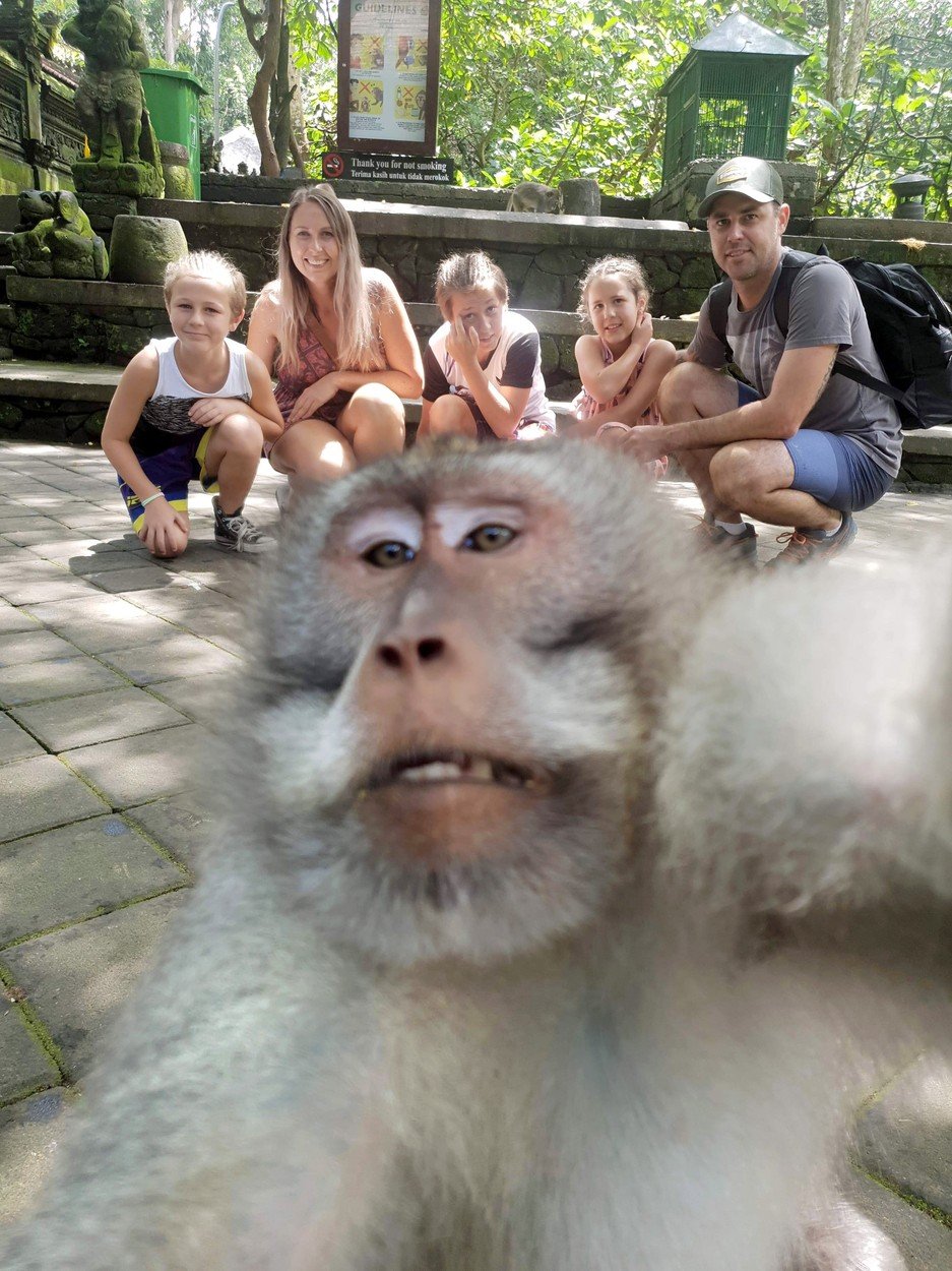 Momentul în care o maimuță strică fotografia unei familii. Gestul obscen făcut de animal - Imaginea 2