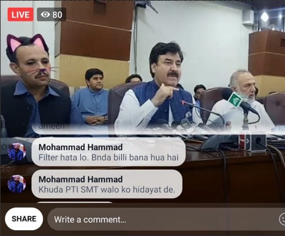 Politicieni cu mustăți și urechi de pisică, în timpul unei ședințe. Momentul, transmis live - Imaginea 3