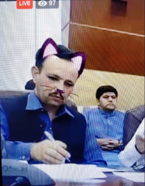 Politicieni cu mustăți și urechi de pisică, în timpul unei ședințe. Momentul, transmis live - Imaginea 2