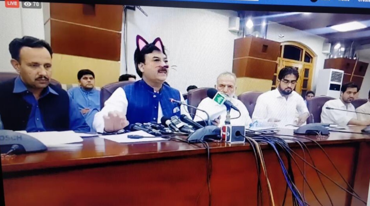 Politicieni cu mustăți și urechi de pisică, în timpul unei ședințe. Momentul, transmis live - Imaginea 1