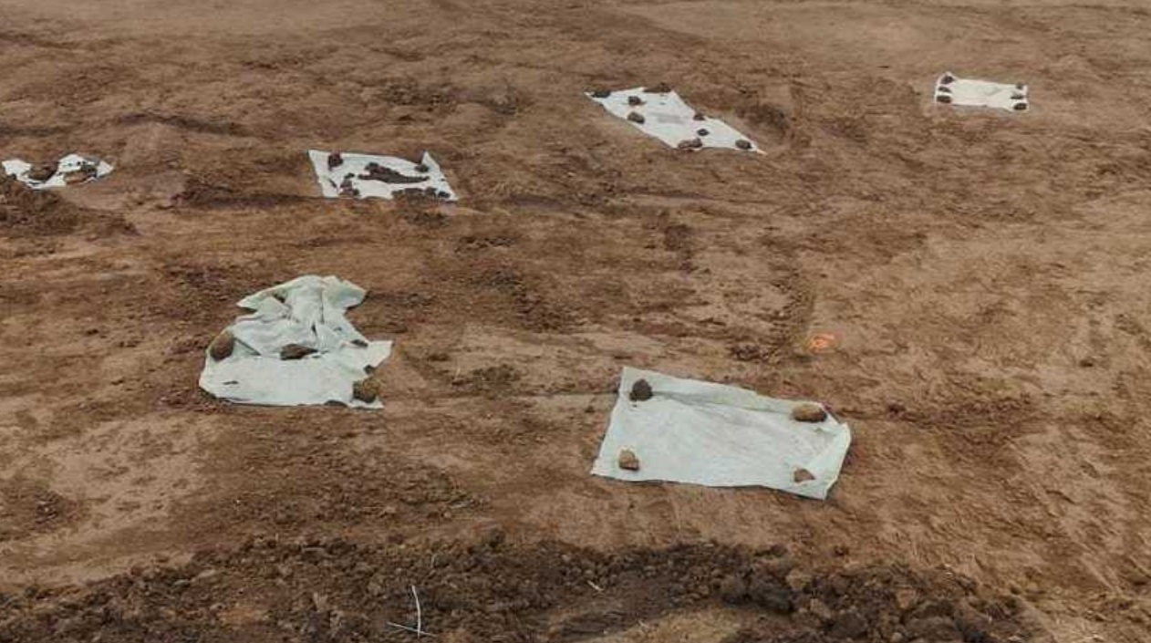 Mai multe gropi cu oseminte au fost descoperite pe şantierul drumului expres Craiova-Piteşti (Video)
