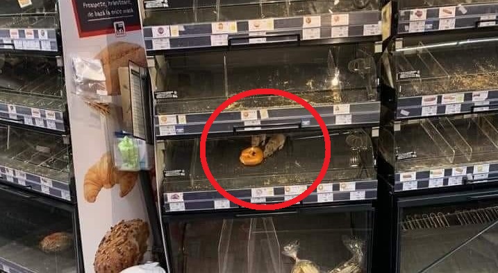 FOTO șocant într-un magazin din București: doi șobolani mănâncă un covrig, în vitrină. Reacția supermarketului