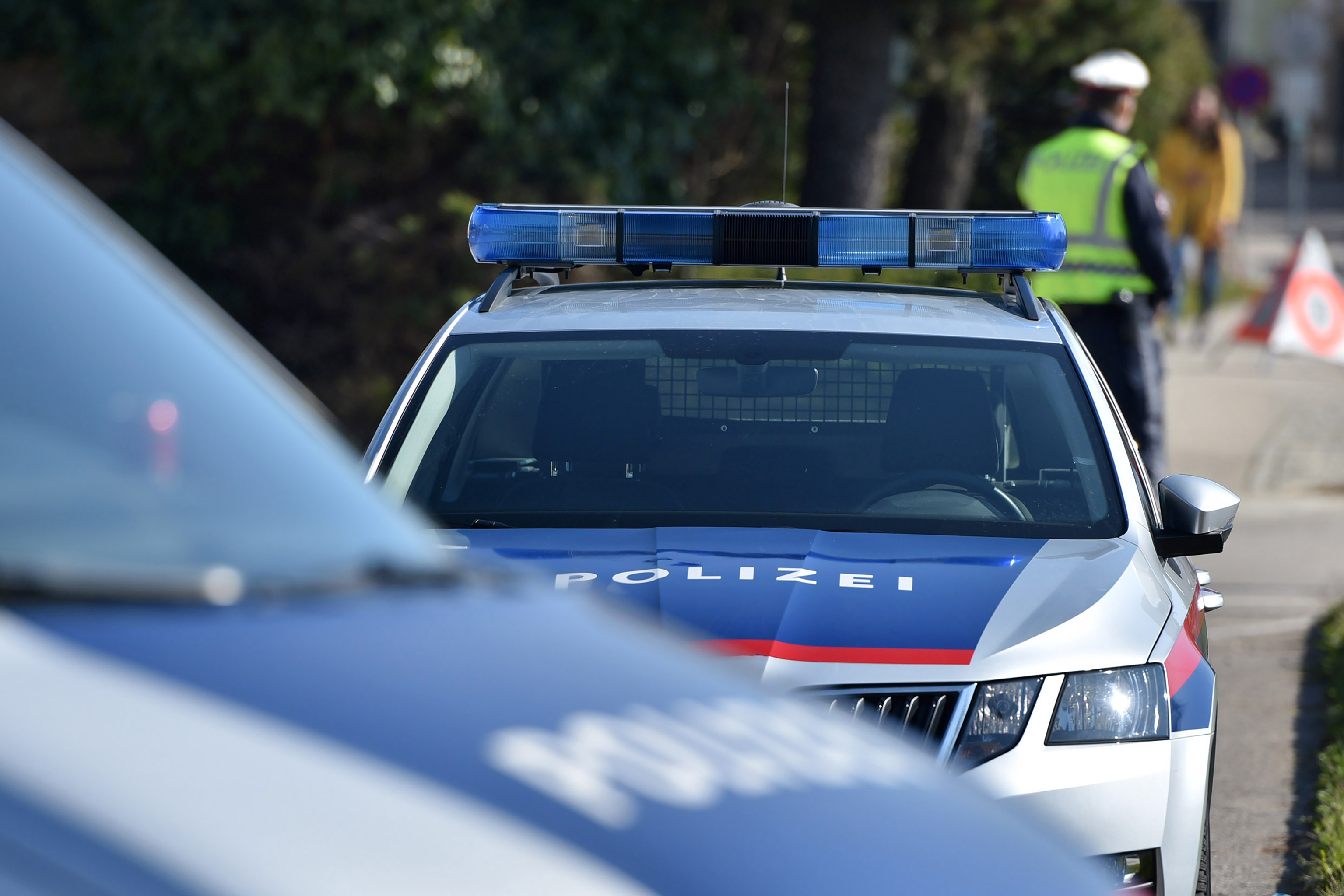 Un bărbat din Austria a ucis intenționat o persoană, pentru a fi condamnat la închisoare