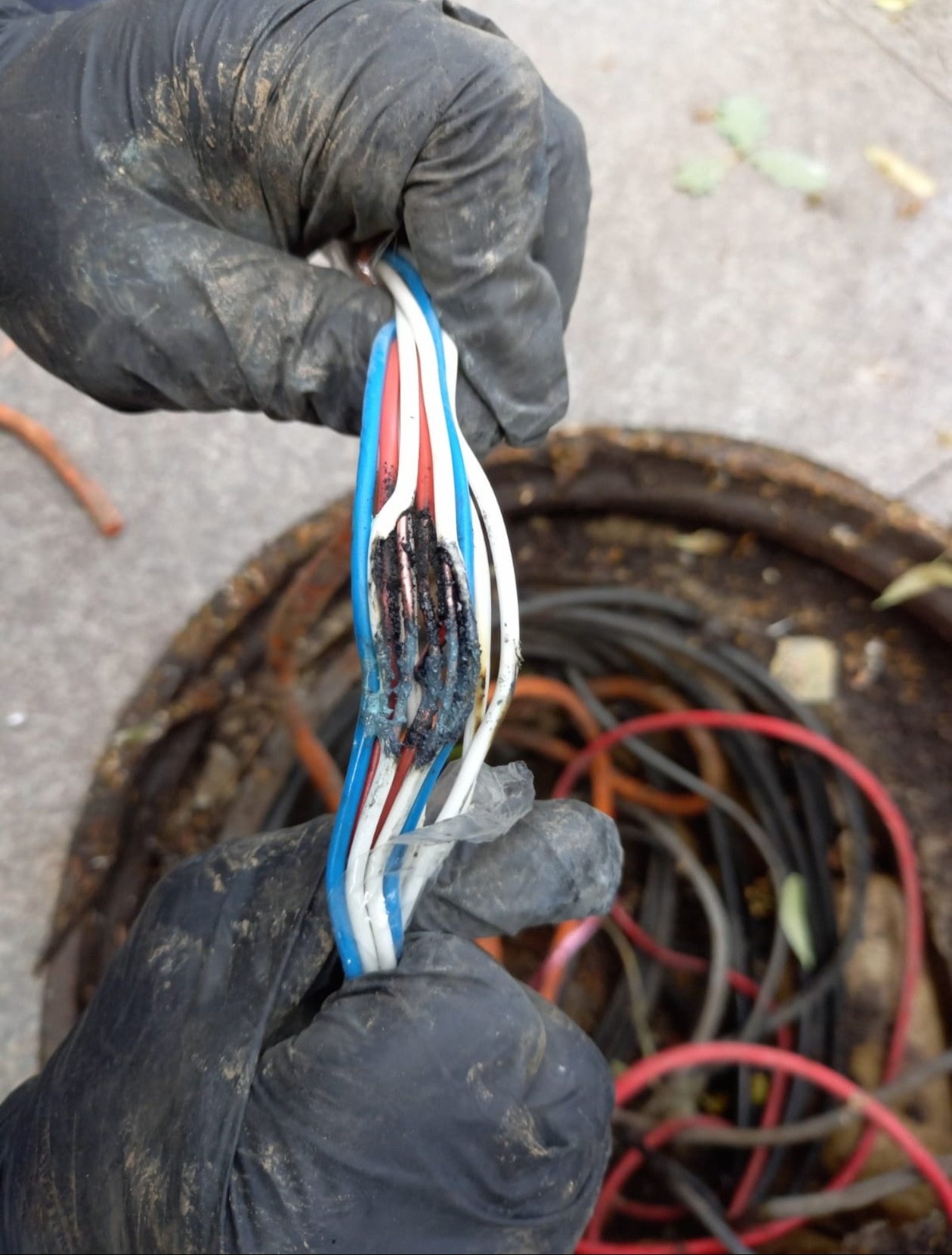 Semafoare defecte într-o intersecție din București, după ce cablurile au fost roase de șobolani