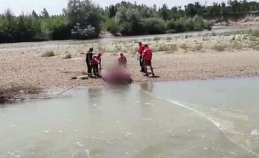 Descoperire șocantă pe malul râului Argeș: Un bărbat a fost găsit mort