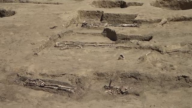 Sute de schelete umane, dezgropate în Bihor. Sunt oameni uciși de holeră, la sfârșitul secolului XIX