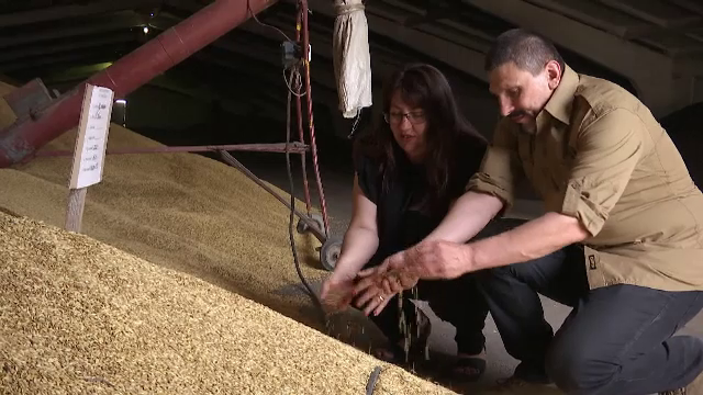 Rușii bombardează depozitele de cereale ale Ucrainei. „A fost distrusă până la 20% din infrastructura industrială”