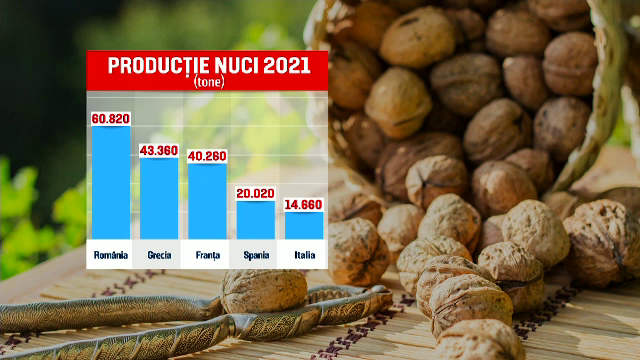 România, campioană la producția de nuci în UE. O mare parte pleacă în Europa și în țările arabe
