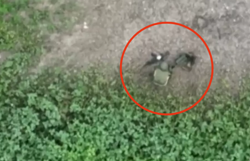 VIDEO viral. Un soldat rus care își făcea nevoile este atacat cu o grenadă, de o dronă
