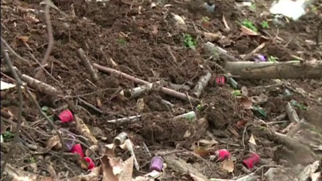 Stiri medias pagina 1 din 2 - Stirileprotv.ro