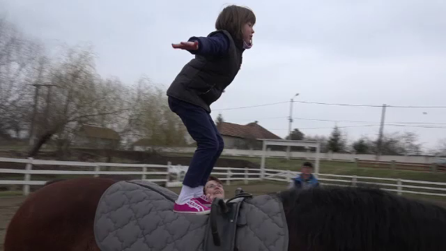 O asociatie din Alba face terapie cu cai pentru copiii cu autism sau sindrom Down. 