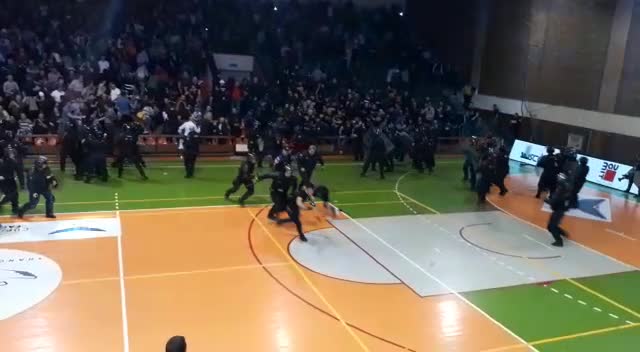 Scene violente la meciul de handbal Steaua - Dinamo. 450 de suporteri s-au luat la bătaie