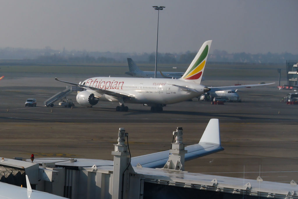 Primele țări care suspendă folosirea avioanelor Boeing 737 Max 8, după tragedia din Etiopia - Imaginea 1