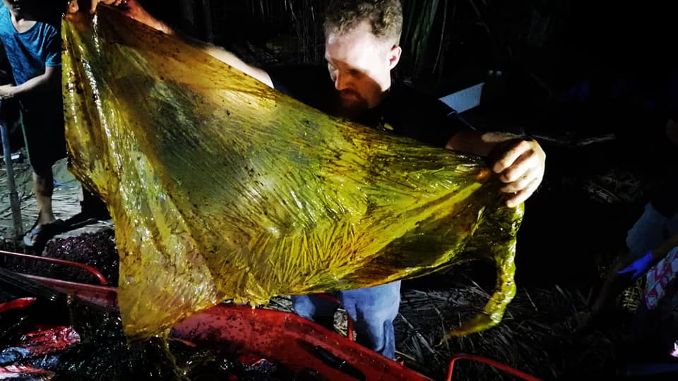 Ce se afla în stomacul unei balene găsită moartă pe o plajă din Filipine. FOTO - Imaginea 3