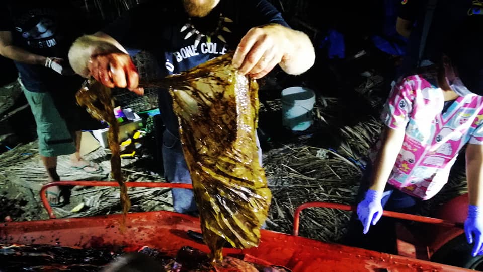 Ce se afla în stomacul unei balene găsită moartă pe o plajă din Filipine. FOTO - Imaginea 5