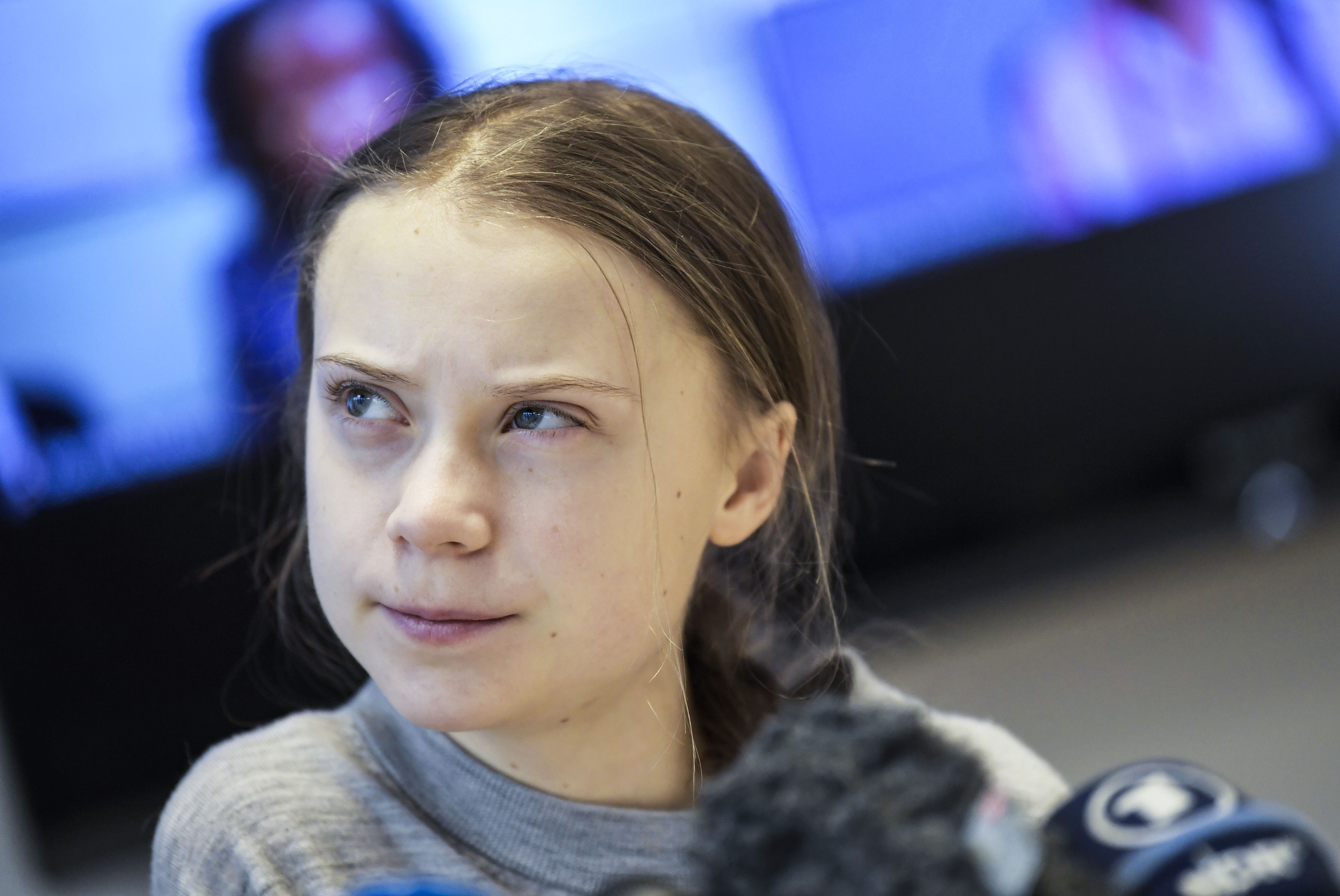 Compania petrolieră care a distribuit o ilustrație porno cu Greta Thunberg și-a cerut scuze