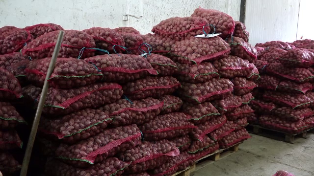 Cum au ajuns cartofii pe cale de dispariție în România. Nemulțumirile fermierilor - Imaginea 1