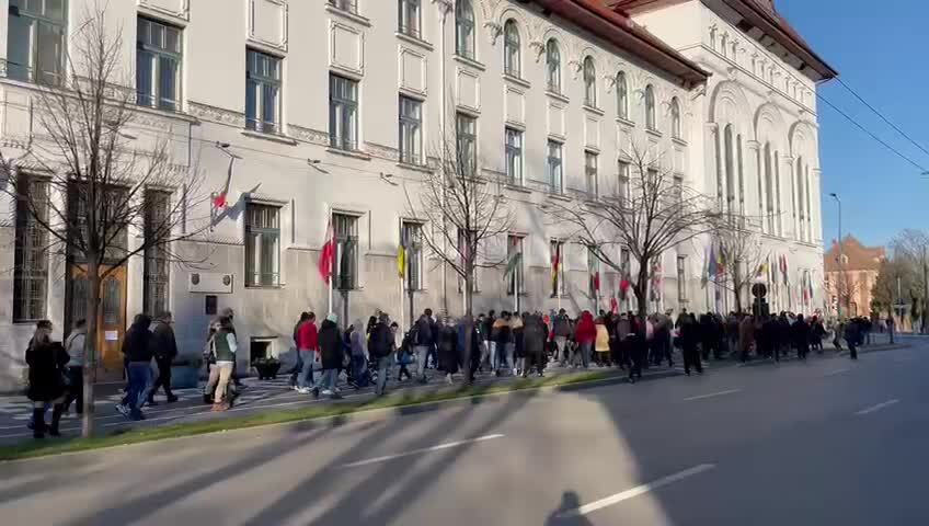 Protest la Timişoara, înainte de intrarea în carantină. Oamenii au strigat „Fără carantină” și „Libertate” - Imaginea 6
