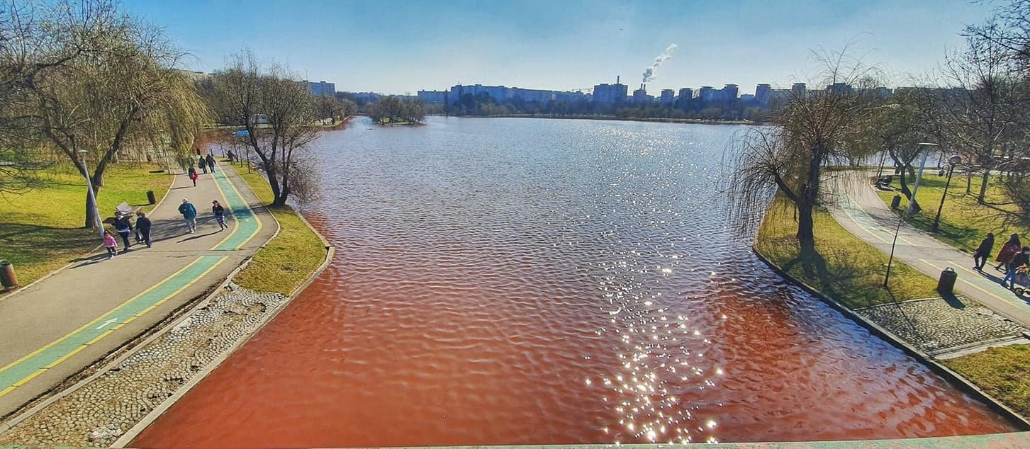 Apele Române au descoperit de ce apa din lacul IOR a devenit roșie. Este o algă, care nu e toxică