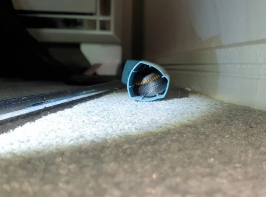 O adolescentă a descoperit un șarpe veninos în inhalatorul său pentru astm. FOTO