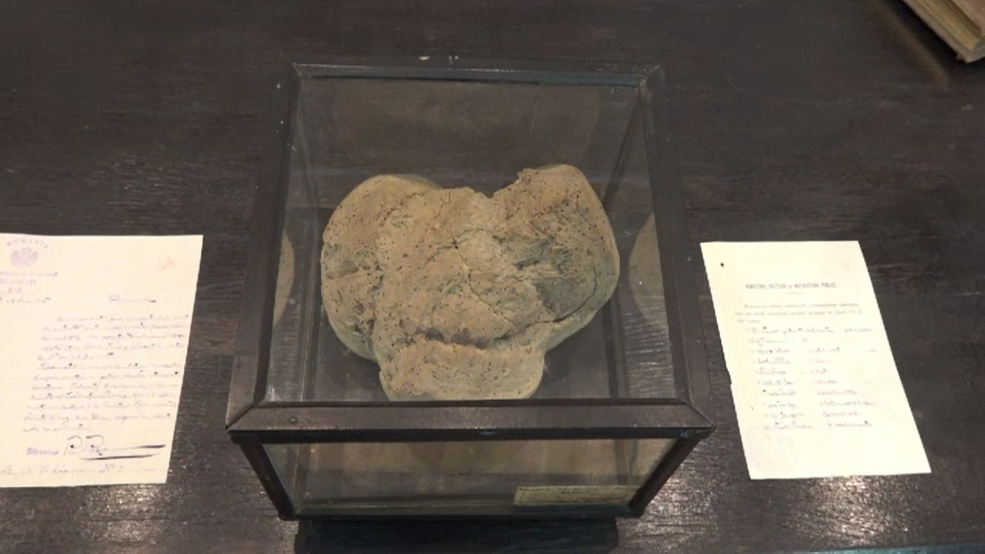 Cea mai veche pâine din lume poate fi admirată la Muzeul de Istorie din Galați