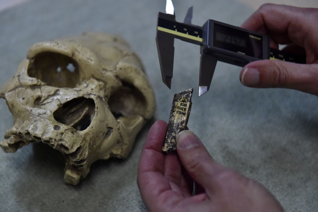 Oseminte umane vechi de 450.000 de ani, descoperite într-o peşteră preistorică din Franţa