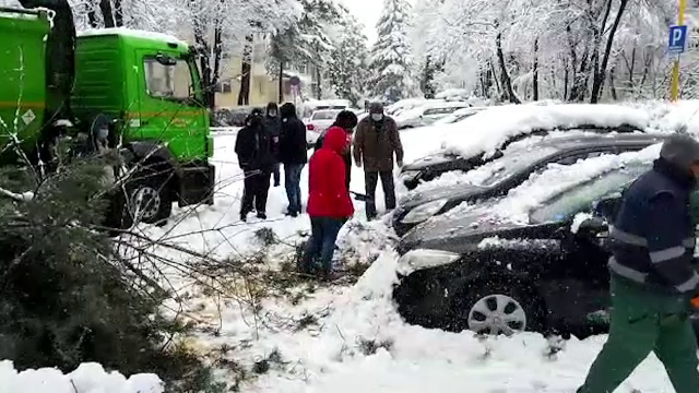 Probleme în toată ţara, din cauza zăpezilor. Turiști blocați, copaci rupți și pietre căzute de pe versanți