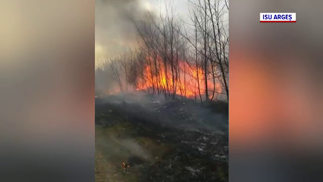 Două incendii de vegetație uscată, duminică după amiază, în zona Topoloveni din Argeș. Pompierii au stins focul cu lopețile