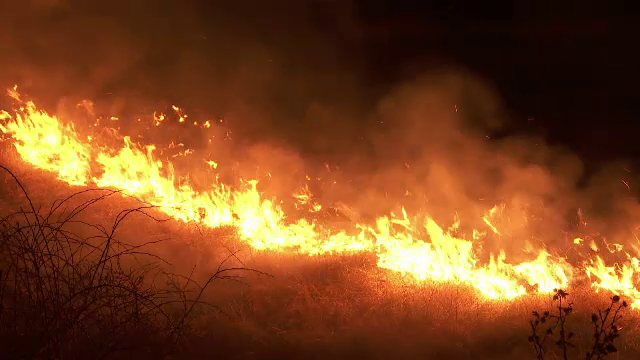 Peste 6000 de incendii de vegetație de la începutul anului. Mii de hectare de teren au fost arse