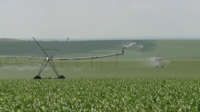 Lovită de secetă extremă, România poate iriga sub 5% din terenul său arabil. Agricultorii primesc apă gratuit