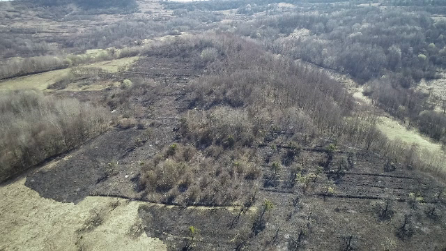 Incendiile de vegetație fac prăpăd în mai multe județe din țară, deși arderea câmpurilor este interzisă
