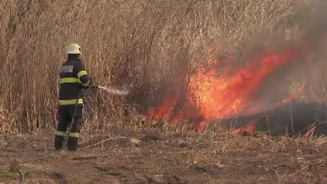 Dosar penal pentru 10 persoane din județul Alba după ce au provocat incendii de vegetație