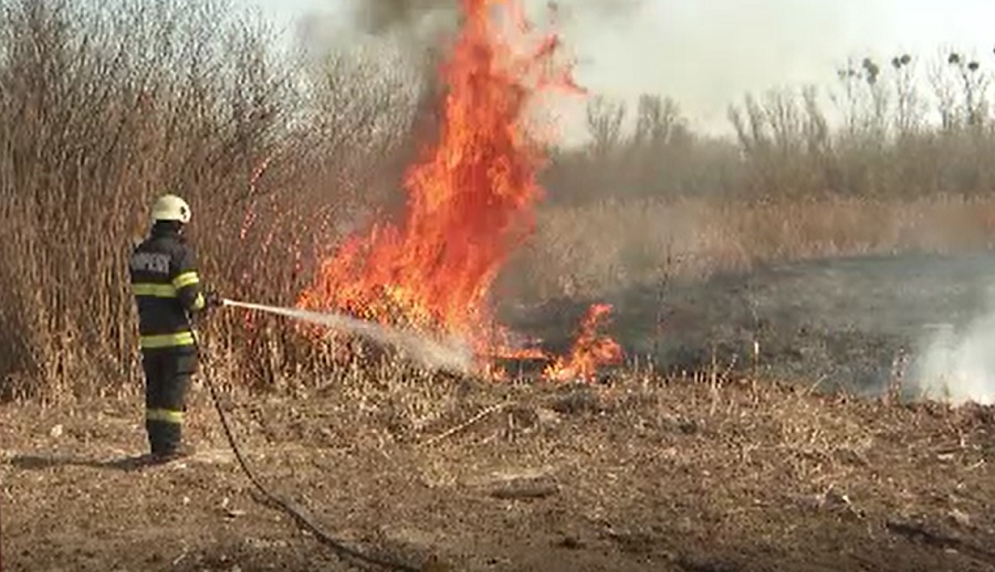 Incendiile de vegetație au devenit un fenomen frecvent în România. Peste 6.000 de focare au fost stinse în ultimele luni