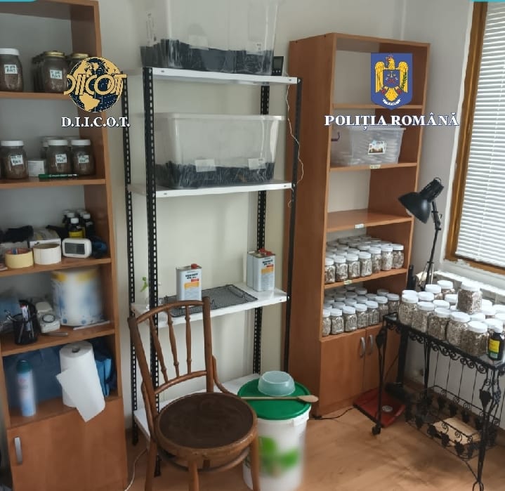 Ce au găsit polițiștii în locuința din Capitală a unui bărbat. Avea cu el 44.000 de lei, obținuți din vânzarea lor - Imaginea 4