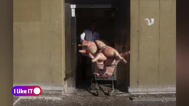 Fotografia urbană. Ce trucuri putem să punem în practică atunci când ieșim pe stradă cu aparatul în mână