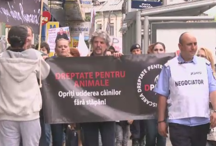 Protest in Bucuresti fata de uciderea cainilor maidanezi. Manifestarea, organizata si in alte 27 orase europene