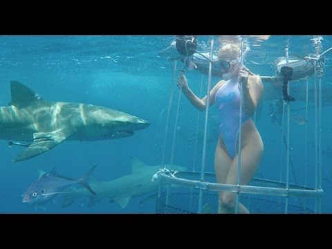 Actrita de filme pentru adulti, atacata de un rechin. Incidentul a fost filmat. VIDEO