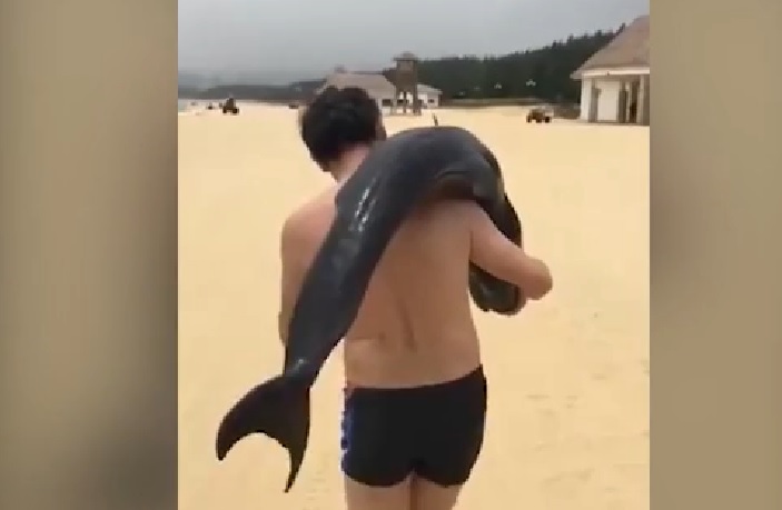 Momentul șocant în care un turist duce un delfin pe umăr și îl aruncă în portbagajul mașinii. VIDEO