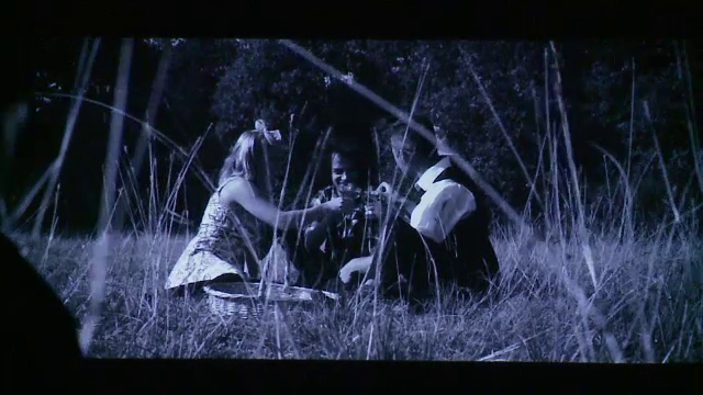 Documentar despre Pădurea Hoia Baciu, locul plin de mister pe care l-a promovat Alice Cooper