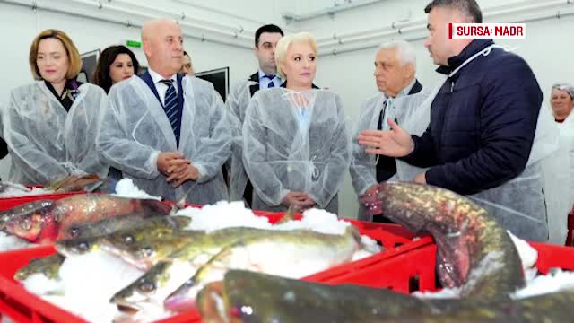 E.U. YES LA VOT. Bursa de pește, de 6 milioane de €, închisă după inaugurare