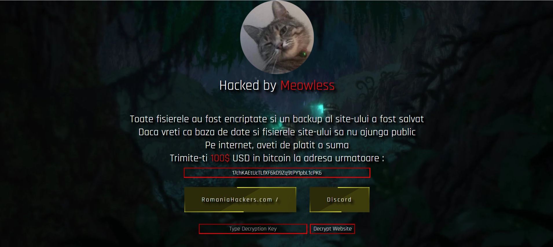 Site-ul Consiliului Județean Cluj, spart de hackerii „Meowless”. Ce spun oficialii instituției