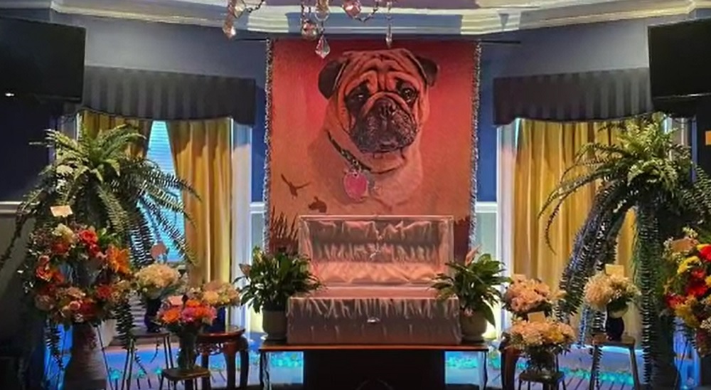Un preot din SUA i-a organizat câinelui său o înmormântare extravagantă. Imagini incredibile