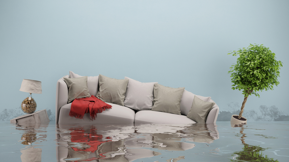 (P) Cinci lucruri pe care să le faci dacă vrei să eviți o inundație din cauze naturale