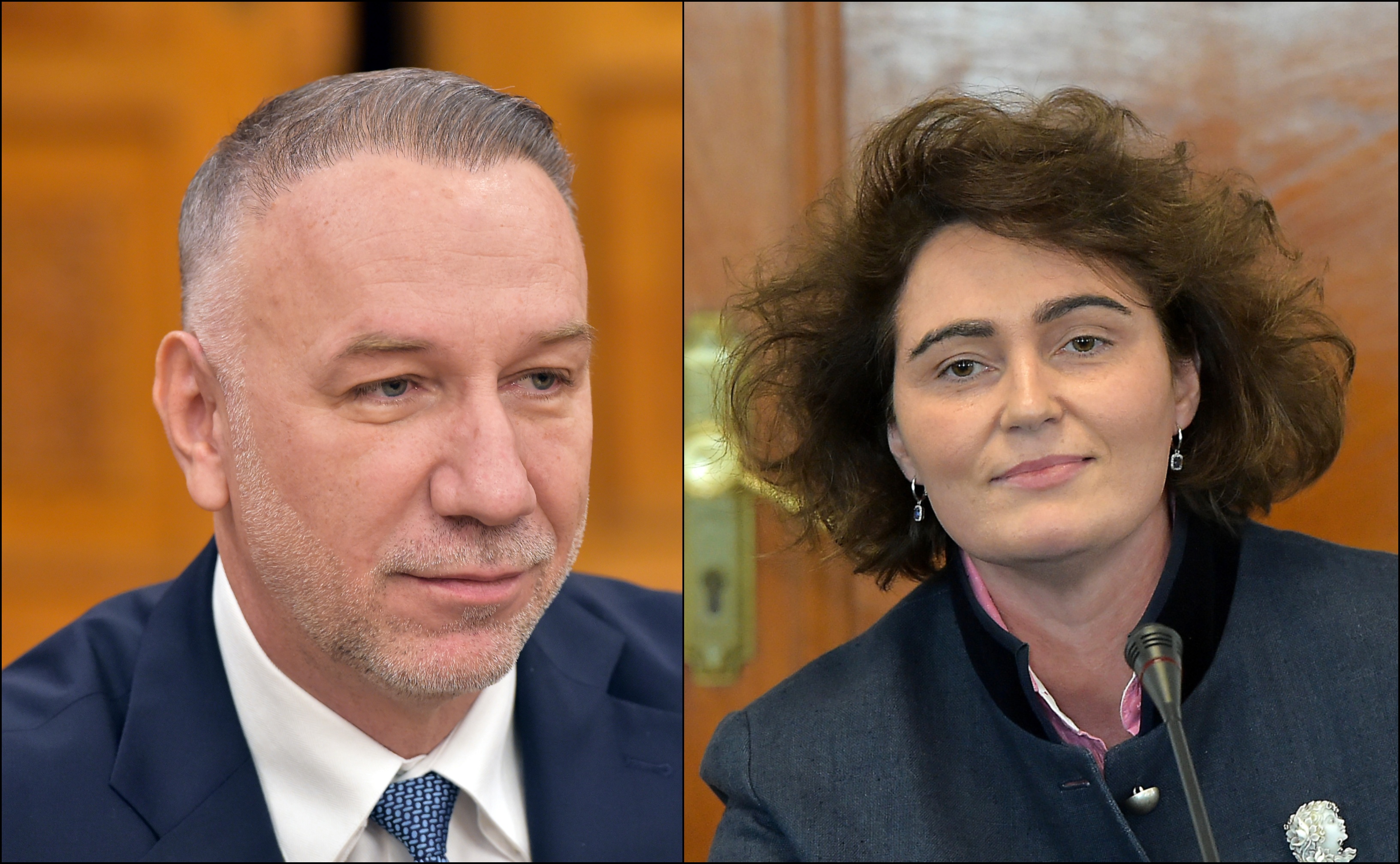 Noi judecători la CCR. Iulia Scântei, propusă de PNL, și Bogdan Licu (PSD) au fost votați