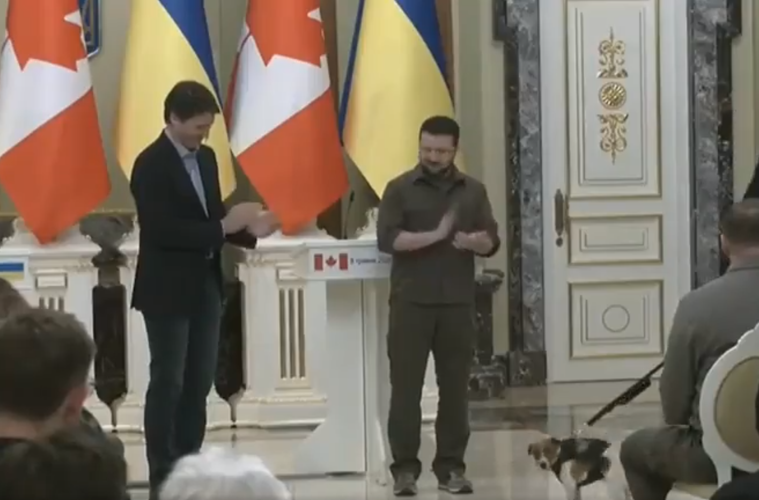 VIDEO Patron, câinele genist din Ucraina, a primit onoruri militare la cel mai înalt nivel