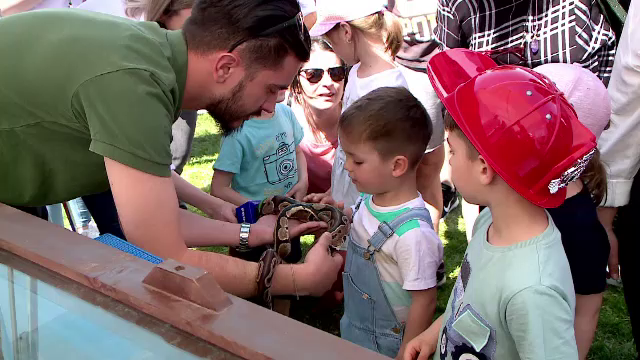 Festivalul animalelor a încântat copiii din Iași. ”Este un șarpe foarte blând și nu atacă aproape deloc”