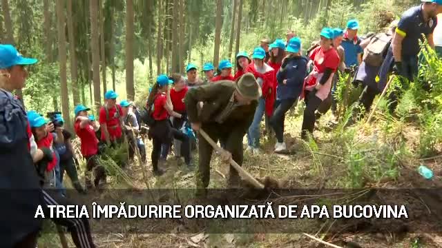 (P) Maspex Romania, prin brandul de apă Bucovina, a organizat cea de-a 3-a acțiune de împădurire